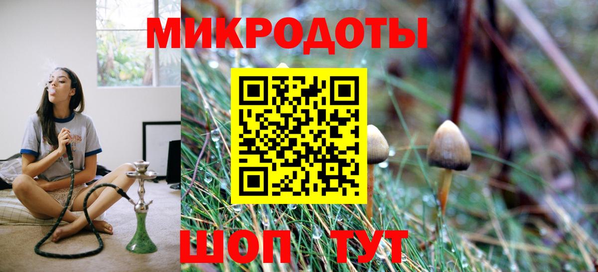 Павлово  Псилоцибиновые грибы мухоморы  Вход с VPN 