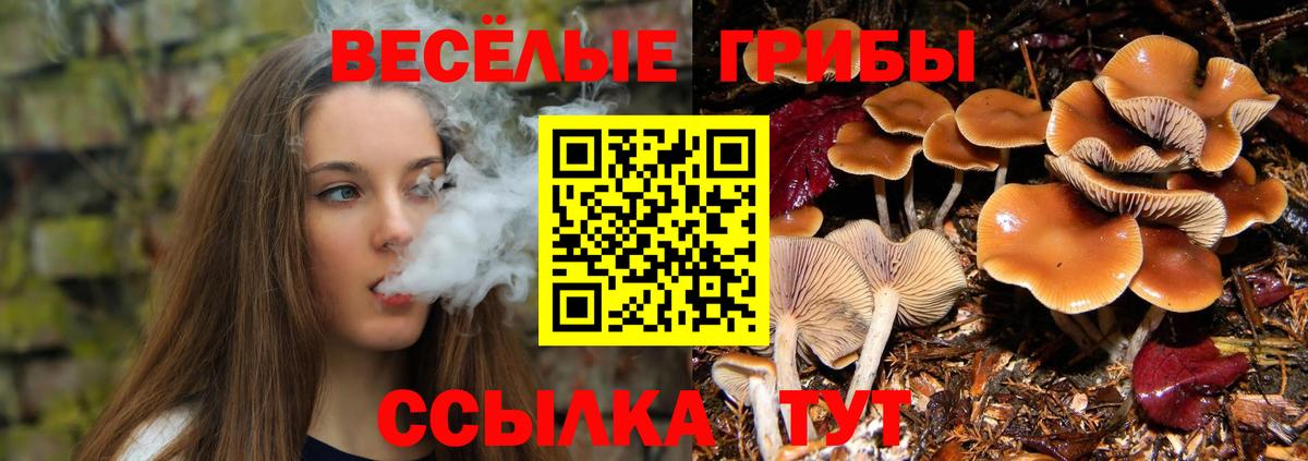 Галлюциногенные грибы GOLDEN TEACHER Павлово